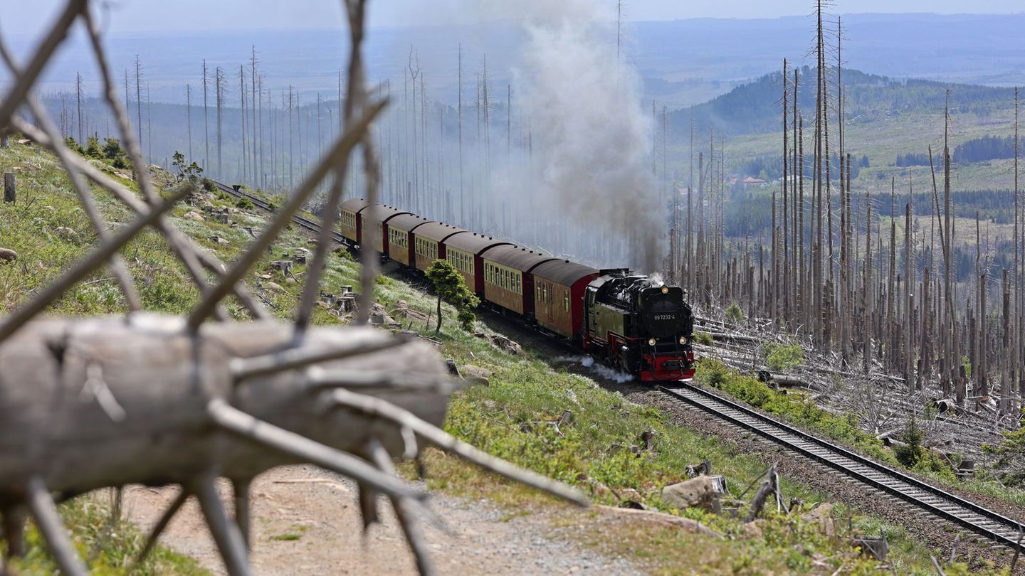 Geringere Waldbrandgefahr: Dampfloks fahren wieder auf den Brocken