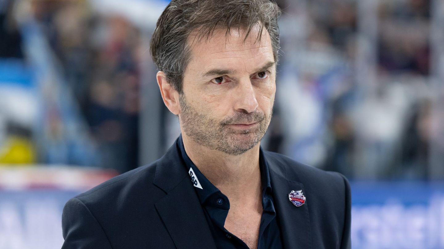 Deutsche Eishockey Liga: Adler Mannheim holen Torhüter Mattsson