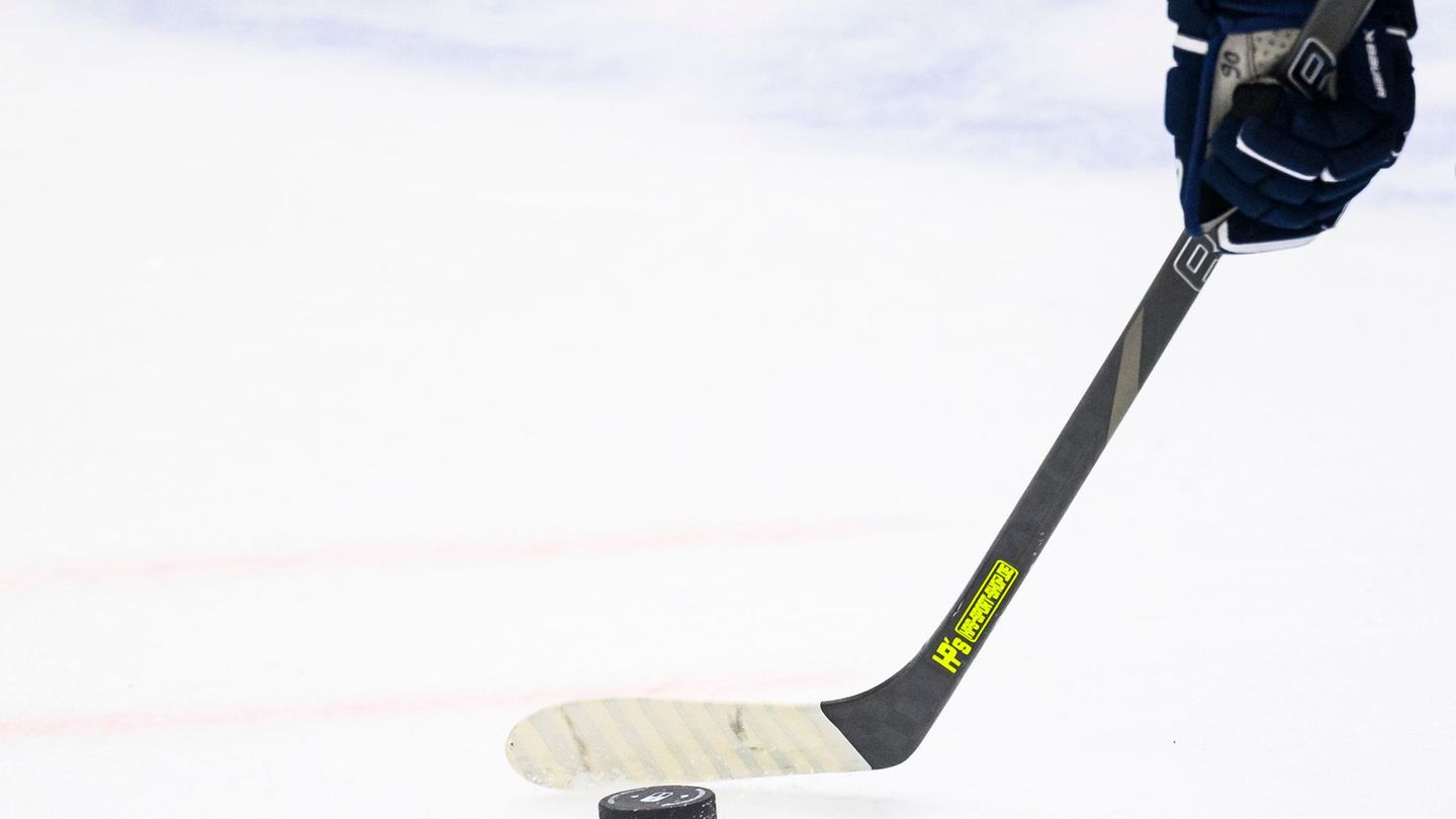 Eishockey: Straubing Tigers holen kanadischen Verteidiger
