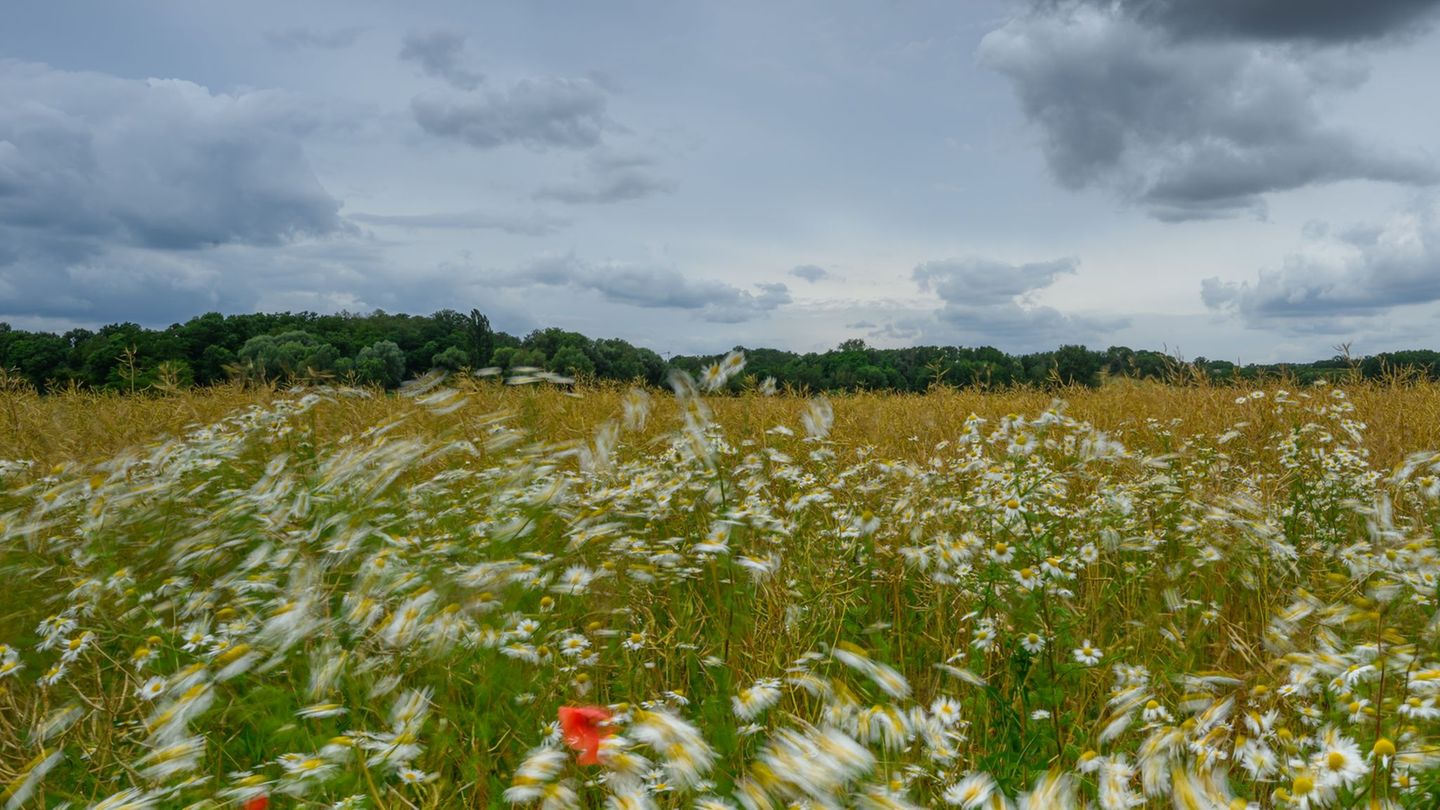 Wettervorhersage: Wechselhaftes Wetter bis zur Wochenmitte