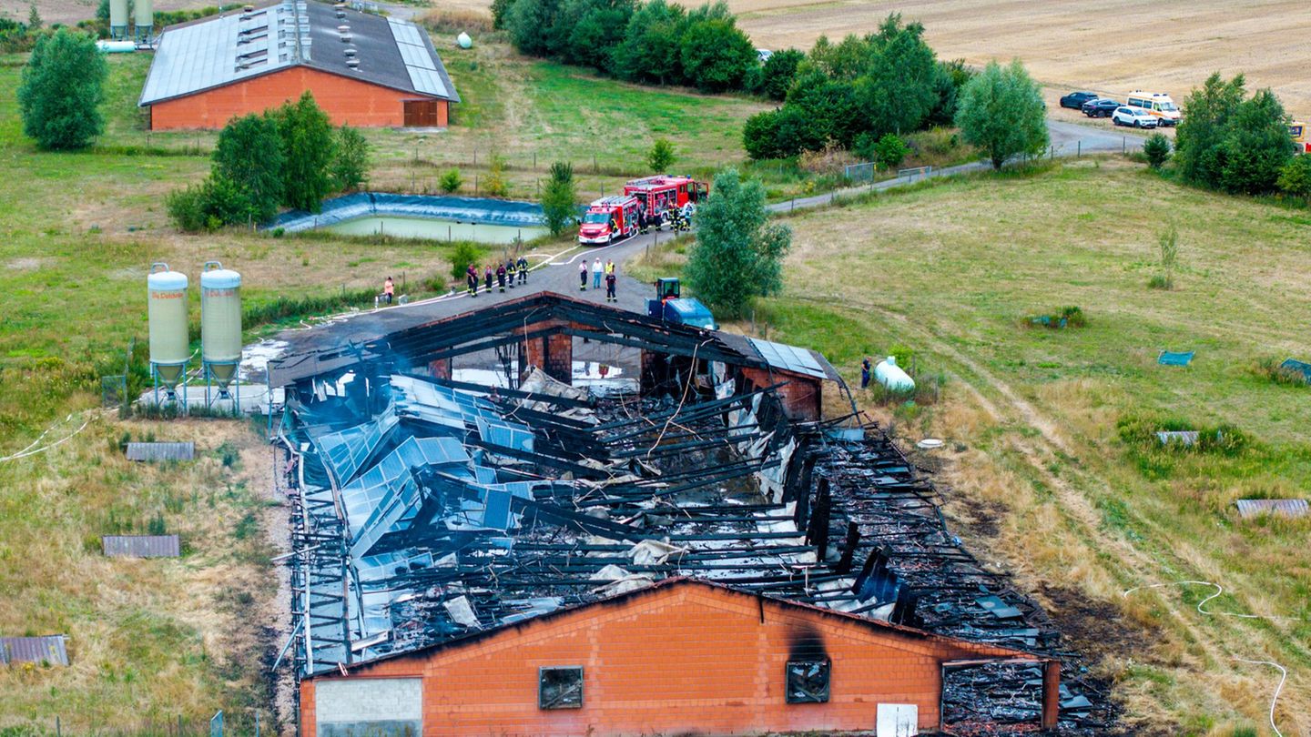 Hoher Sachschaden: Nach Stallbrand: Minister weist Kritik am Brandschutz zurück