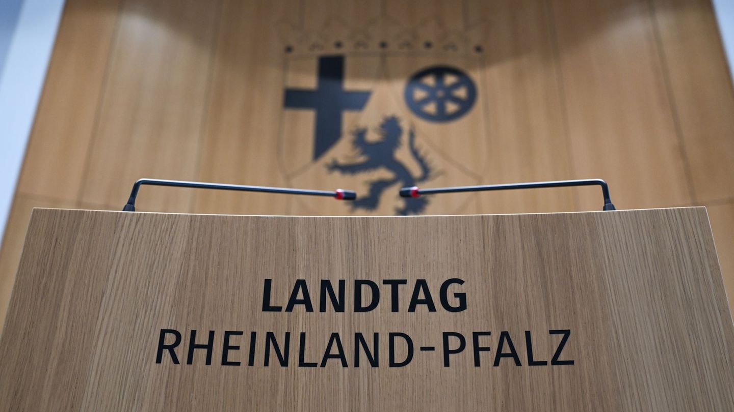 Finanzen: AfD-Fraktion bezahlt offene Rechnung an Landtag