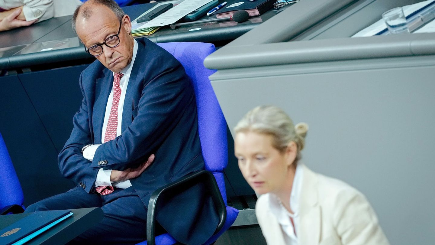 Generaldebatte im Bundestag: „Üble Nachrede“: Merz wehrt sich gegen Weidels Lügen-Vorwurf