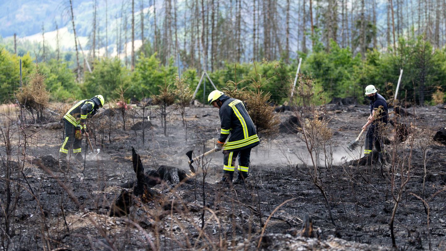 Waldbrand: Brandwache auf Saalfelder Höhe geht weiter