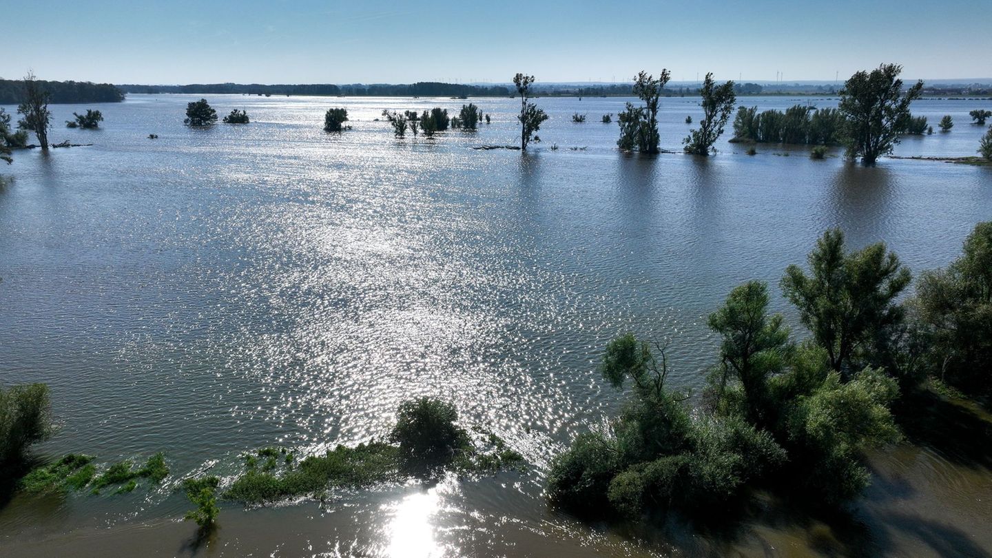 Hochwasseranalyse: Jahrhunderthochwasser: Sachsen-Anhalt mit hohem Risiko