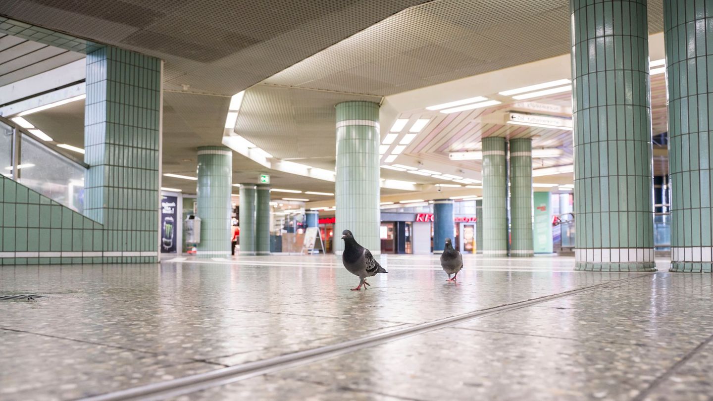 Aktion in Sommerferien: Großreinigung an Hauptwache und Konstablerwache