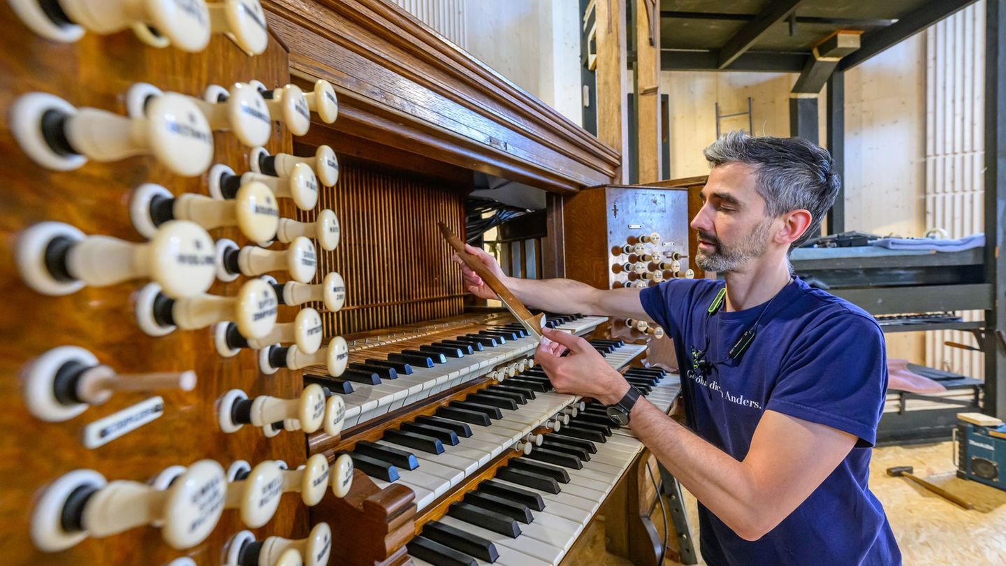 Kirchen: Marienkirche erhält Orgel aus Schottland