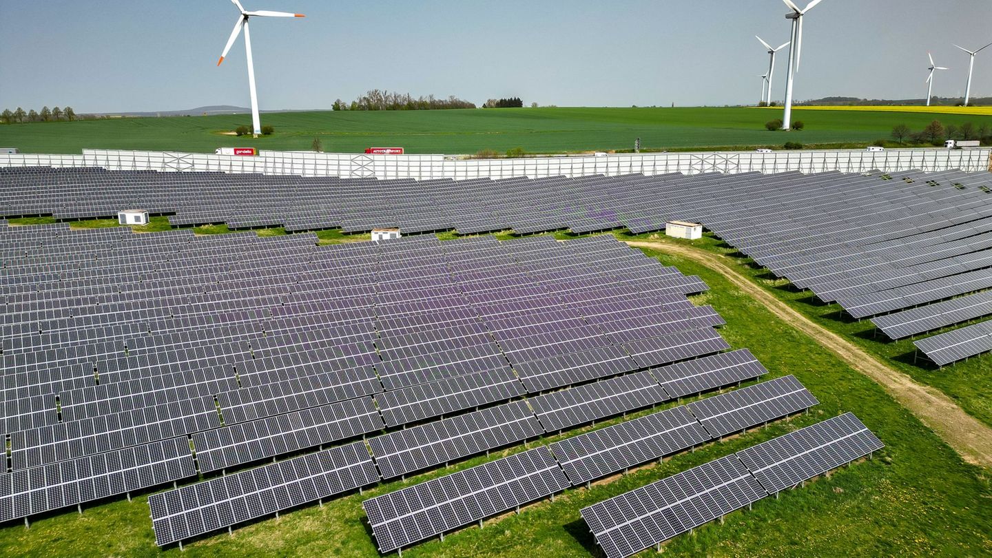 Photovoltaik-Anlagen: Grüne: Wald nicht mehr für Solaranlagen opfern
