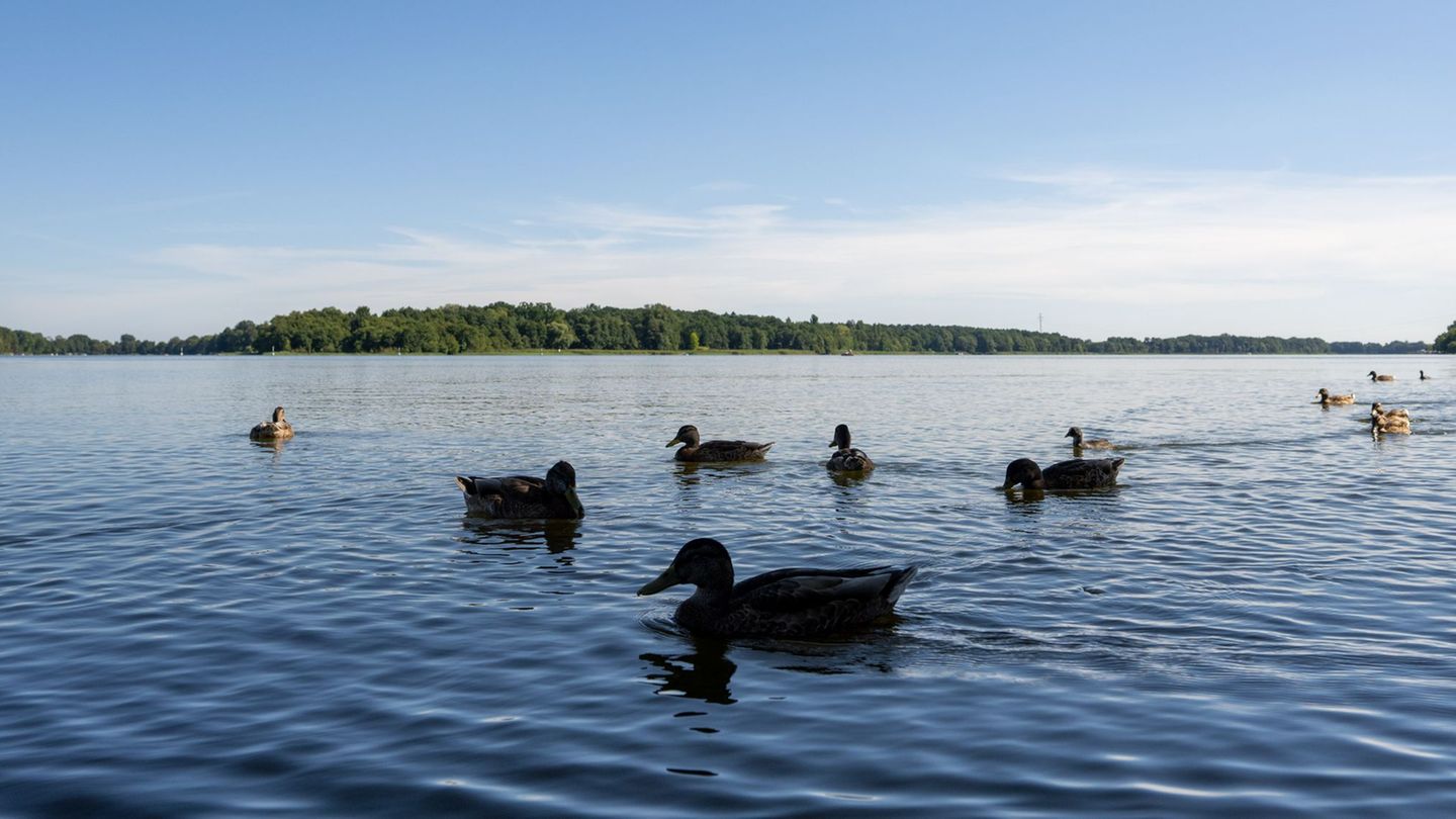 Badegewässer: Gute Wasserqualität zum Baden in Brandenburg – mit Ausnahmen