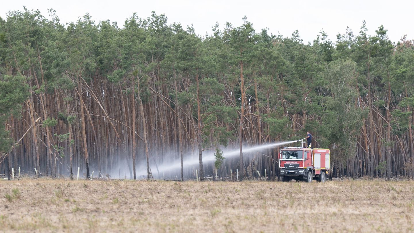 Großfeuer in Sachsen gelöscht: Regen hilft bei Feuer in der Gohrischheide