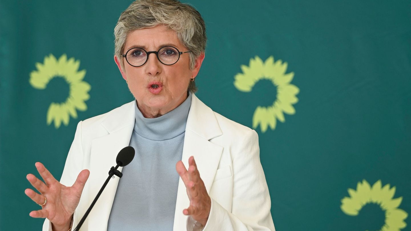 Jahrestag: Lehren aus Ahrtal-Flut: Haßelmann fordert Klimaschäden-Fonds