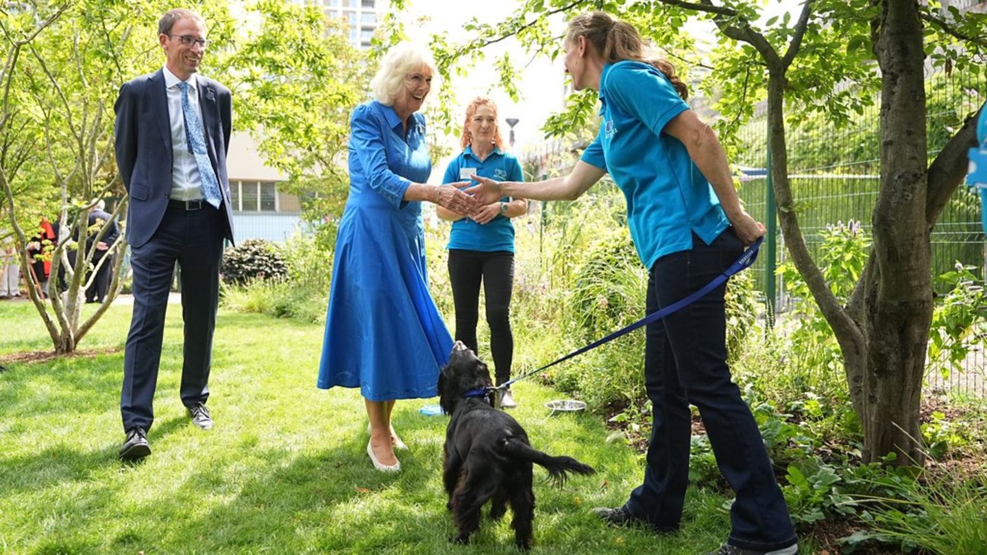 Königin Camilla eröffnet „Hundegarten“: Darum durfte ihre Hündin Moley nicht mit