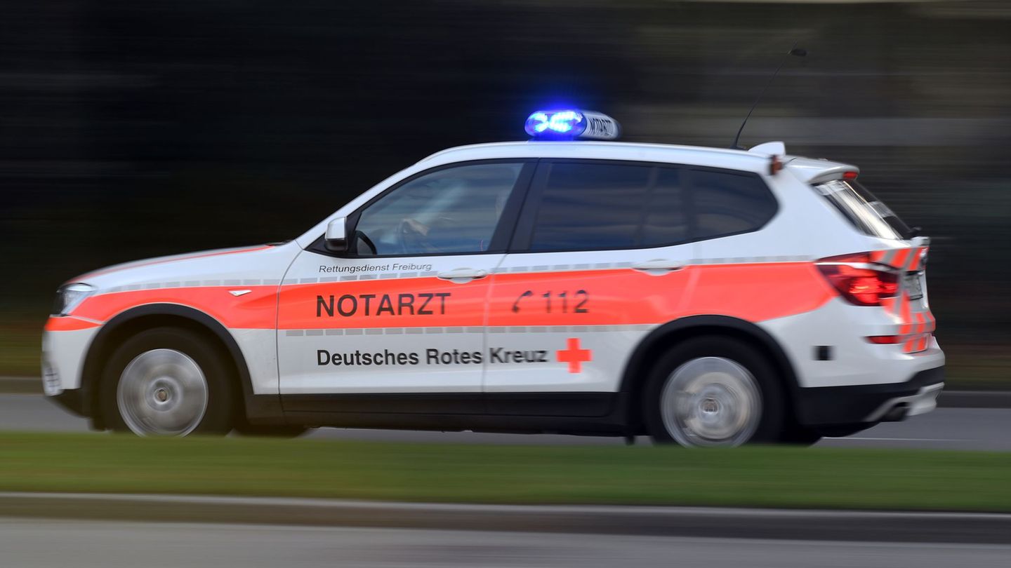 Verkehr: Toter Hase sorgt für Unfall – zwei Verletzte