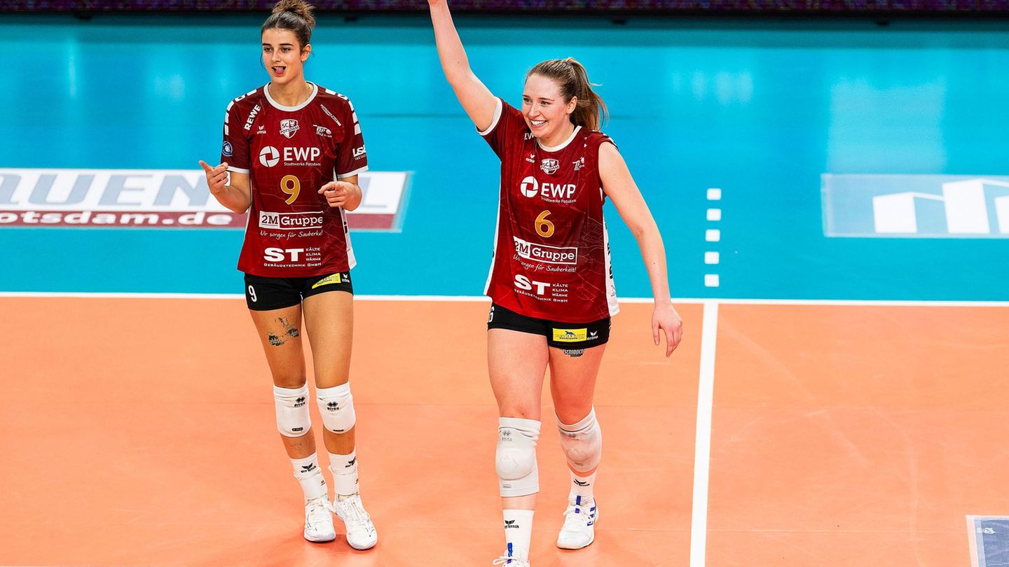 Volleyball-Bundesliga: Stuttgarter Volleyballerinnen holen Holthaus aus Potsdam
