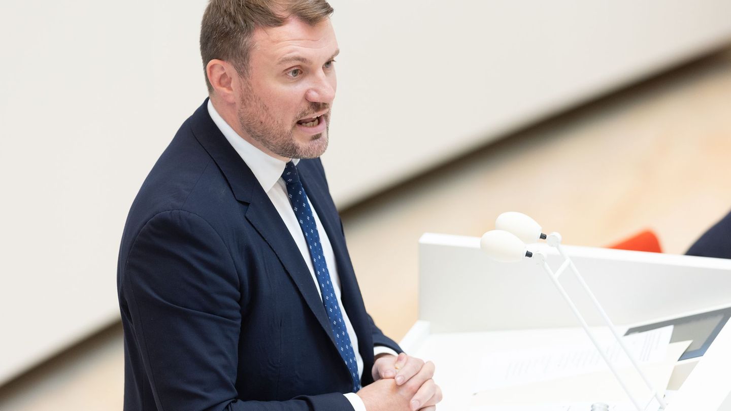 Landtagssitzung: Minister: Sicherheit für Wirtschaft – AfD gegen Energiewende