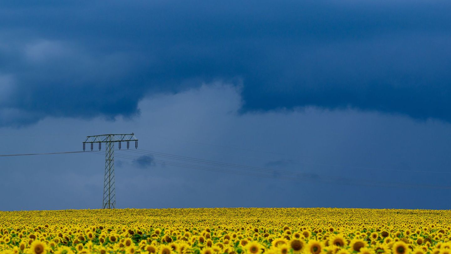Wetter: Ungemütliche Wetteraussichten mit Gewitter und Regen
