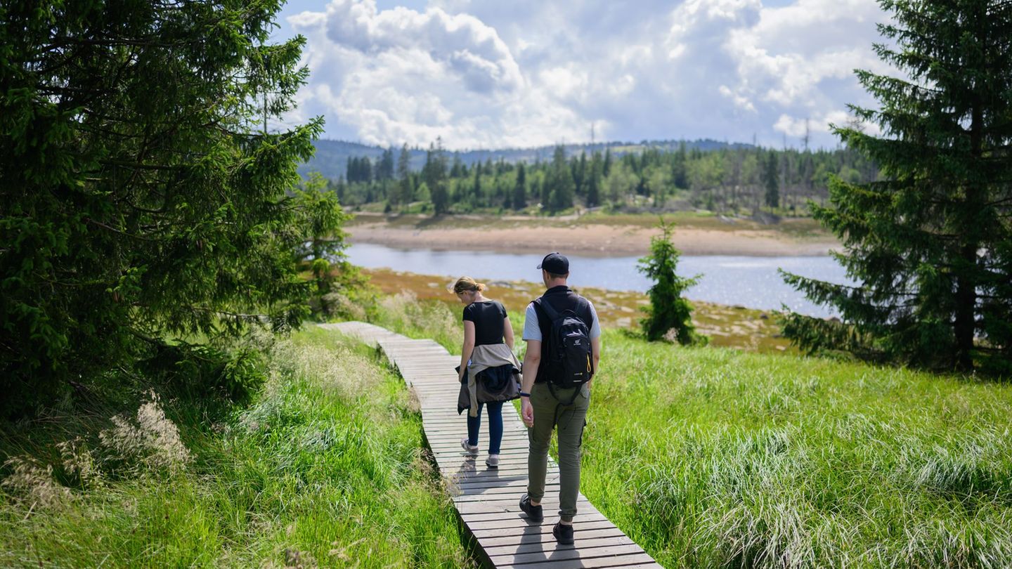 Urlaub: Wanderer in Niedersachsen setzen auf Tagestouren