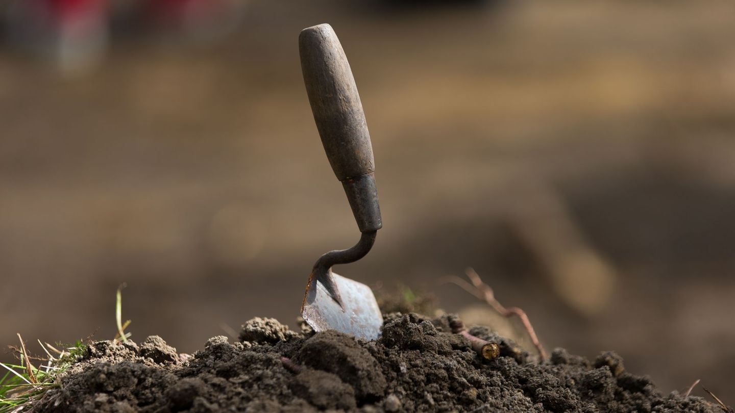 Grabungsfunde: Archäologen entdecken Grabhügel aus der Bronzezeit
