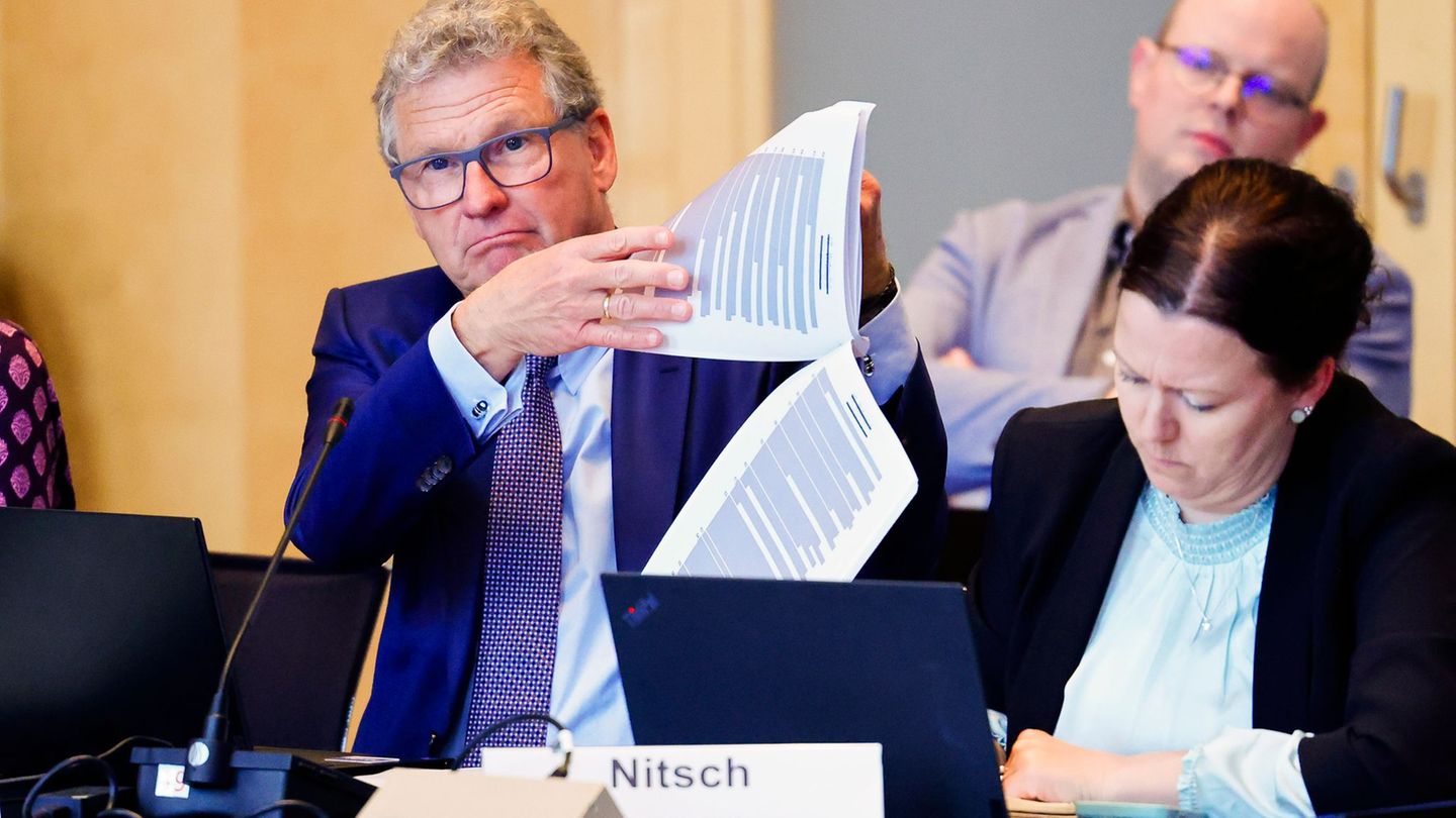 Batteriehersteller: FDP schaltet wegen Northvolt Verfassungsgericht ein