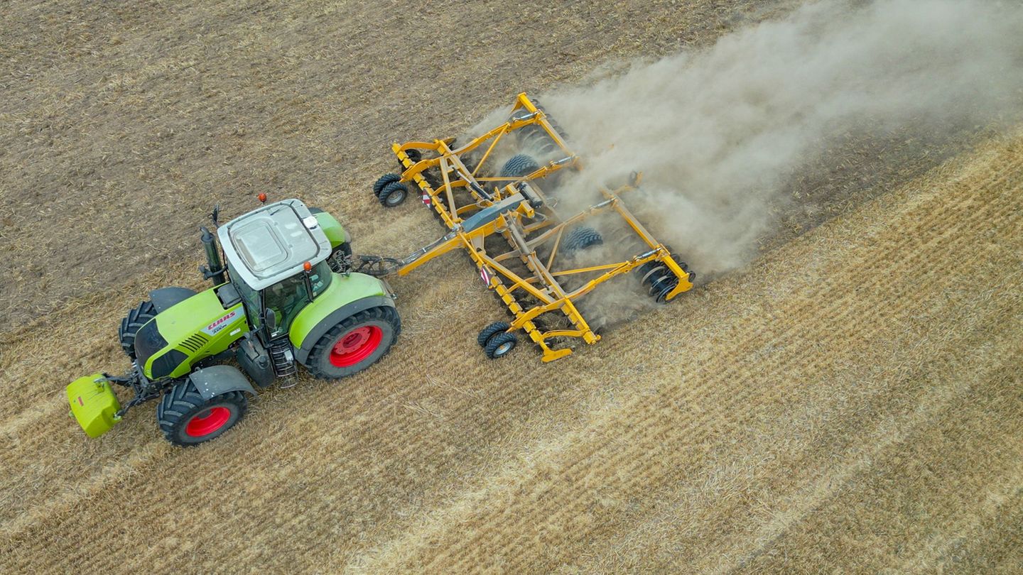 Ernte: Bauern- und Winzerverband Rheinland berichtet über Ernte