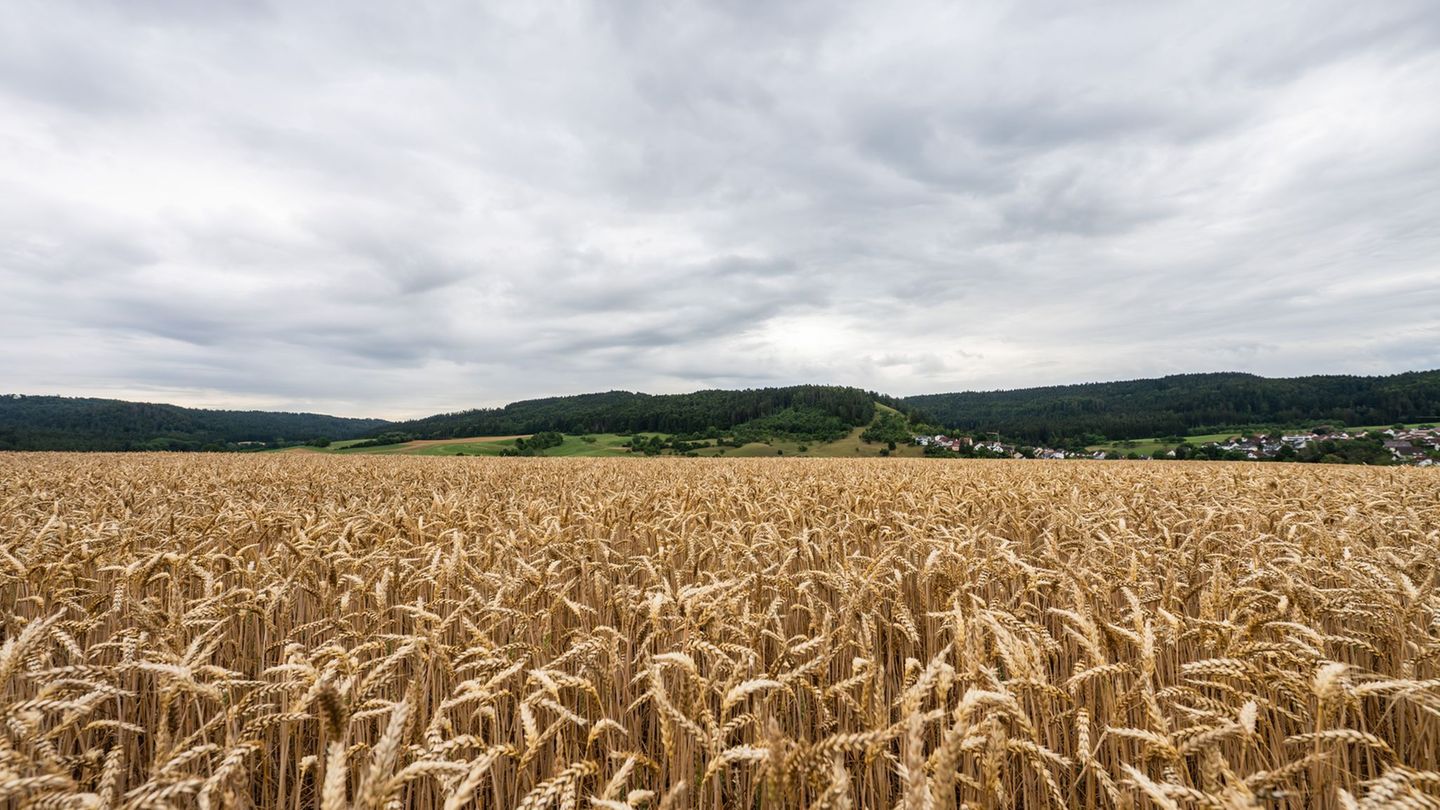 Wetter: Donnerstag oft bewölkt mit etwas Regen im Osten