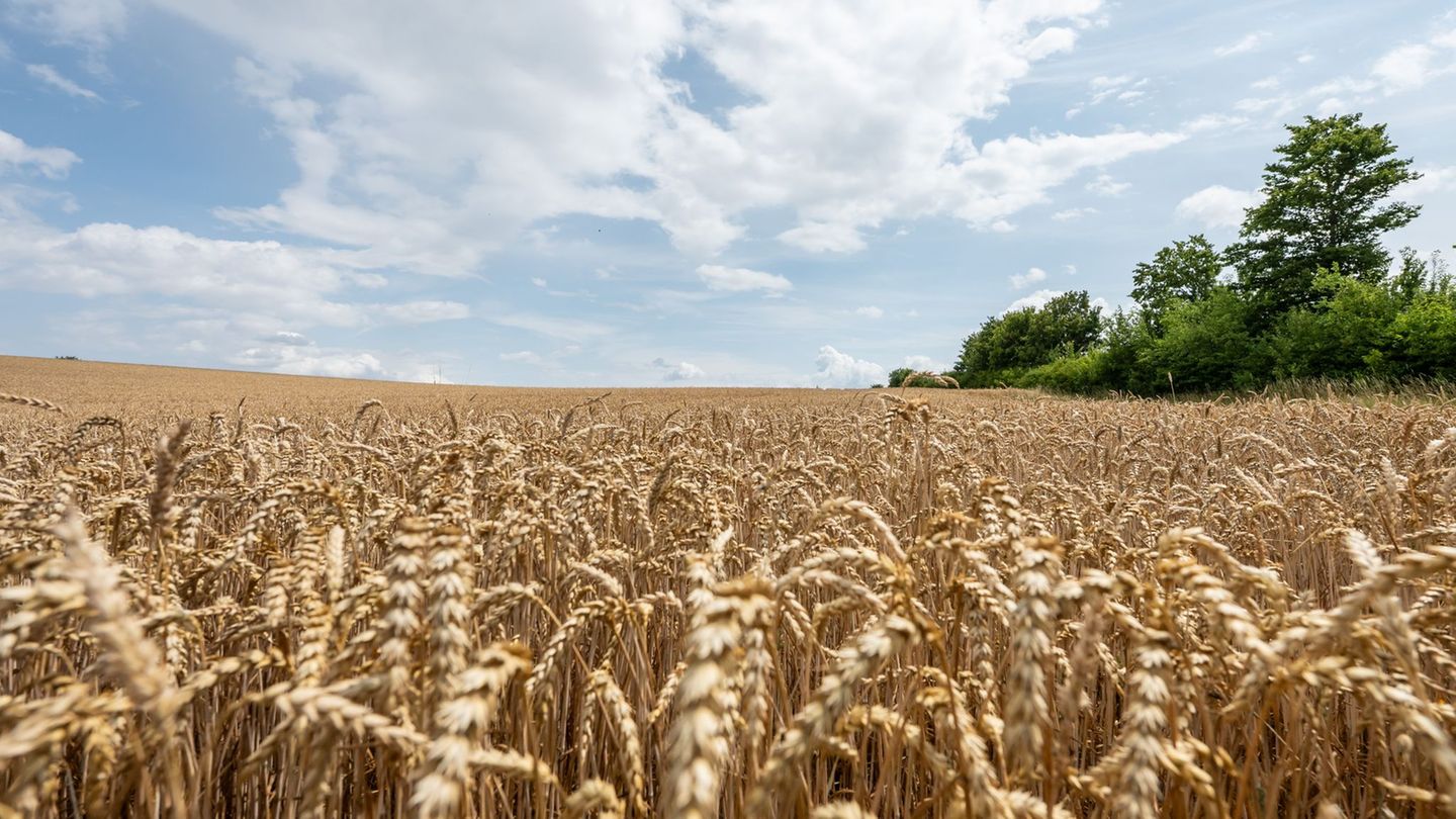 Wetter: Zurück zur 30-Grad-Marke mit Mix aus Sonne und Wolken