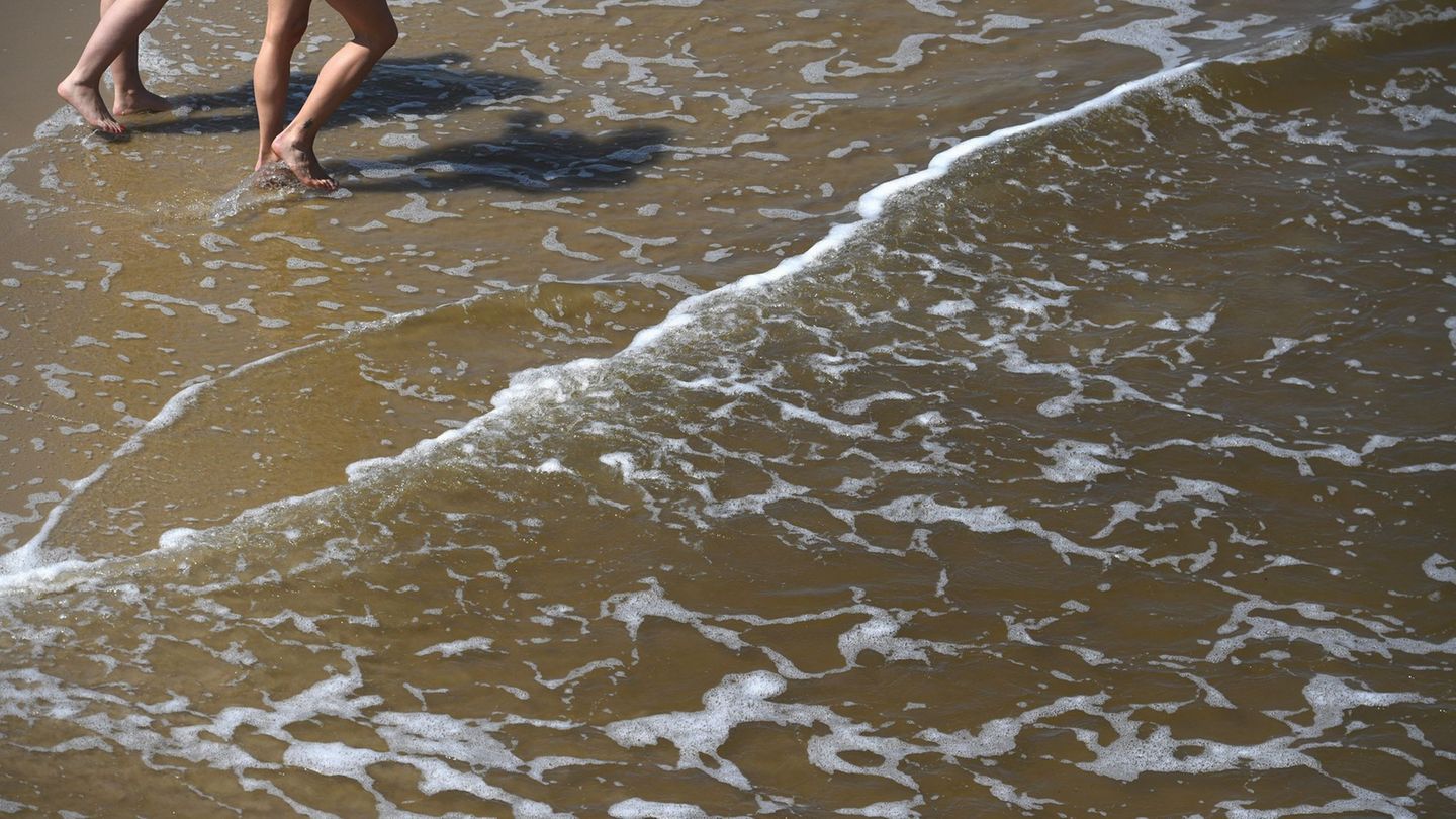 Wundinfektionen und Sepsis: Gefahr durch Vibrionen: Sommerhitze lässt das Risiko steigen