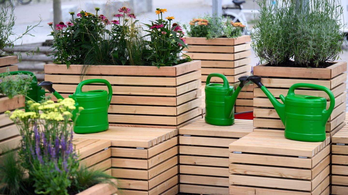 Hitzeschutz in der Stadt: Schutz vor Hitze – Berlins erster Cooling Point eröffnet