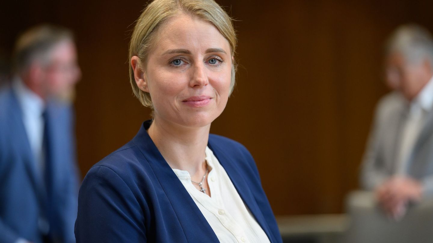 Geburtenrate: AfD fordert Baby-Begrüßungsgeld von 2.000 Euro