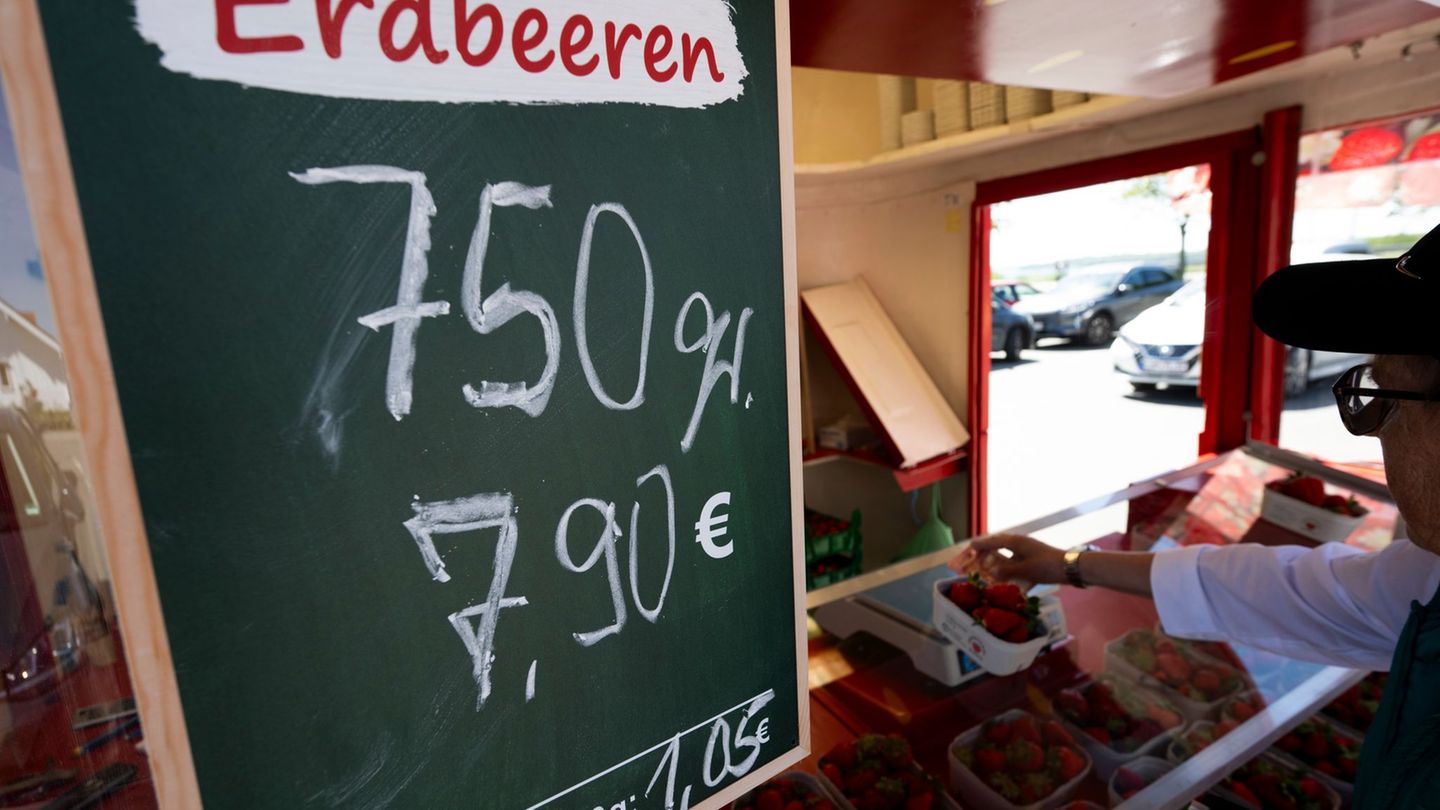 Ernte-Statistik: Erdbeeren und Spargel aus Deutschland bald zu teuer?