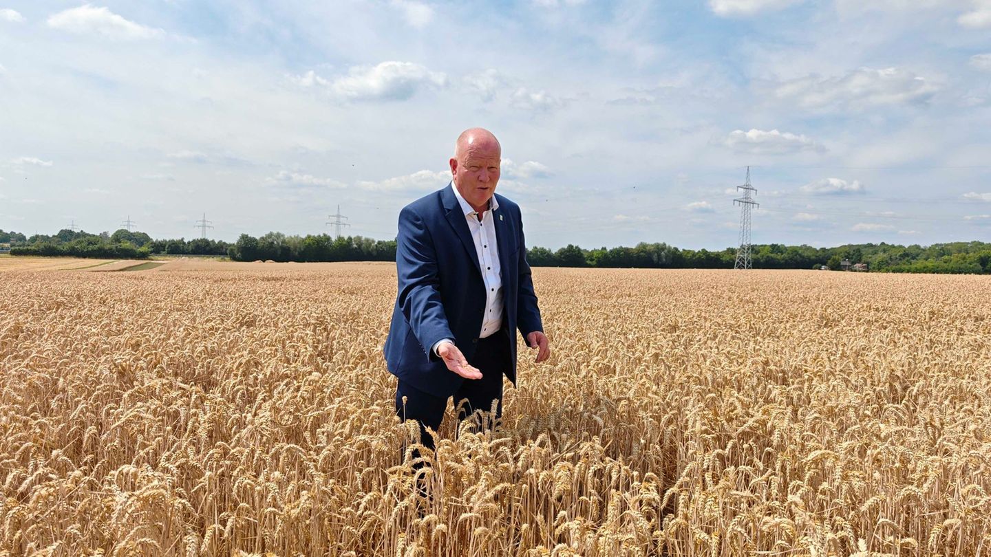 Landwirtschaft: Hessens Bauern kämpfen mit Trockenheit und Kosten