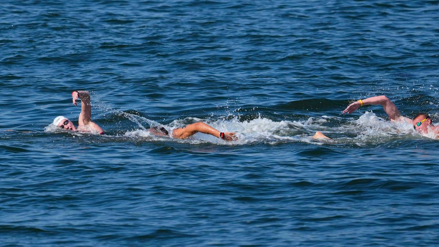 WM in Singapur: Schwimmer Wellbrock holt zweites WM-Gold im Freiwasser
