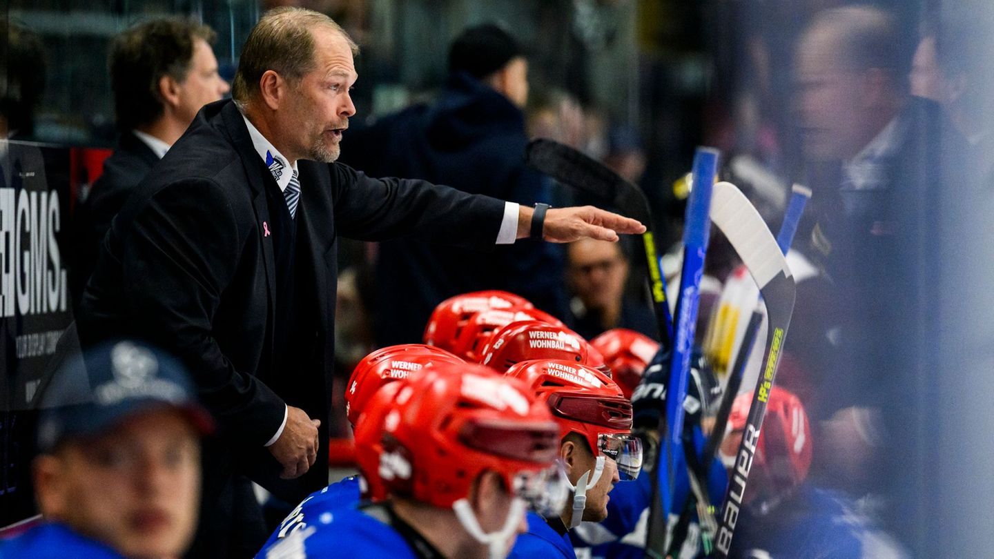 Deutsche Eishockey Liga: „Passt ins Profil“: Wild Wings holen schwedischen Routinier