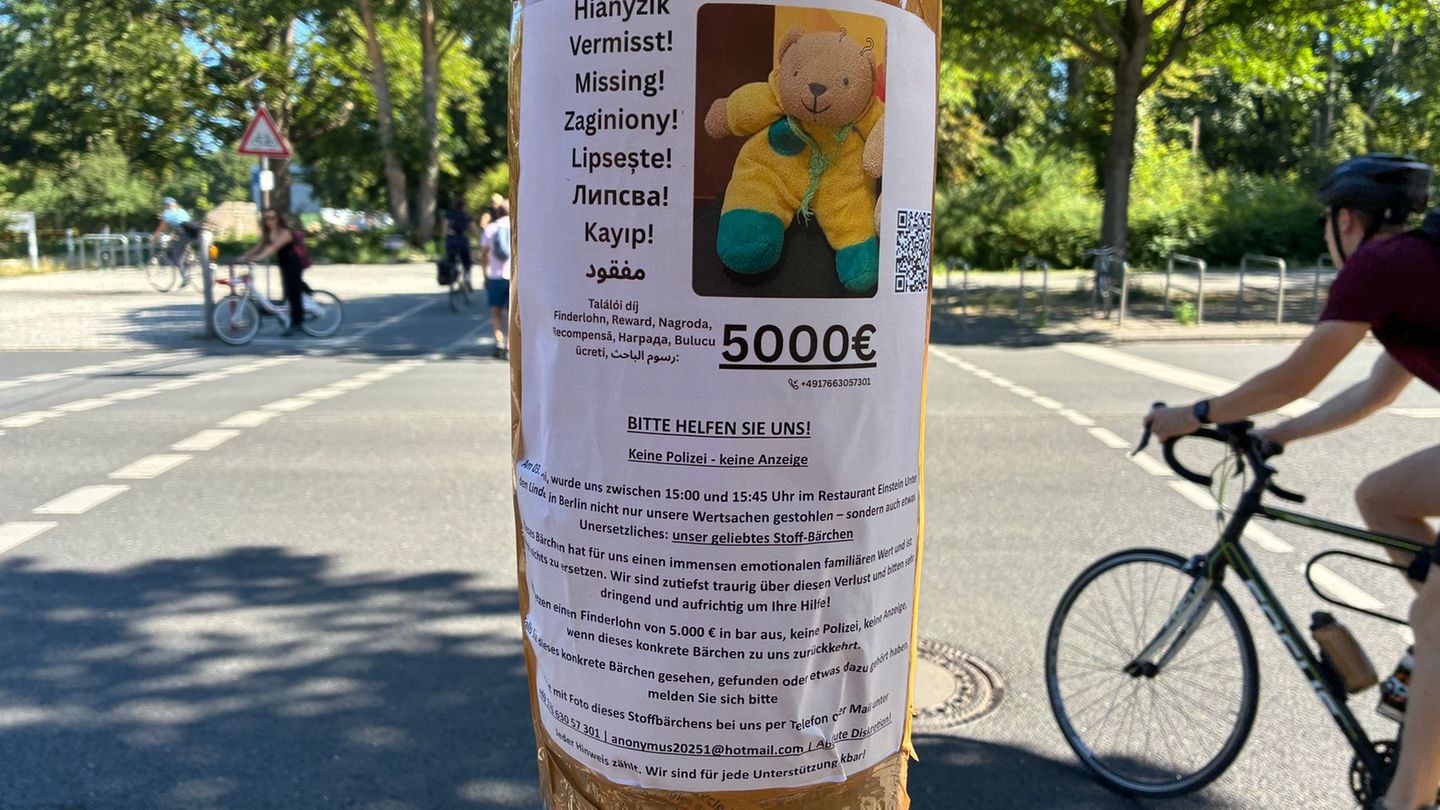 Gesellschaft: Teddy-Diebstahl in Berlin – Bär bleibt verschwunden