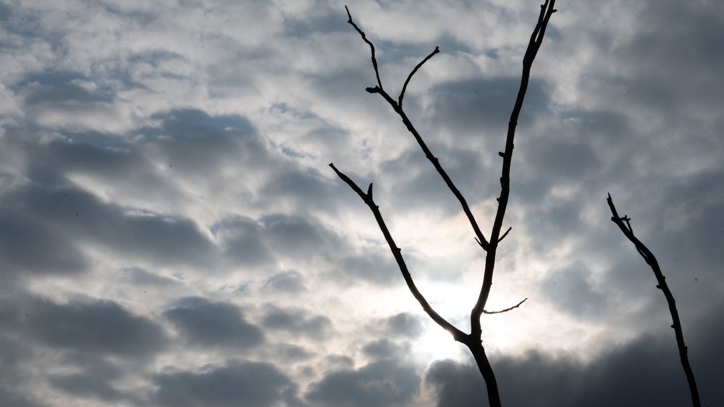 Wetteraussichten: Unbeständiges und wechselhaftes Wetter erwartet