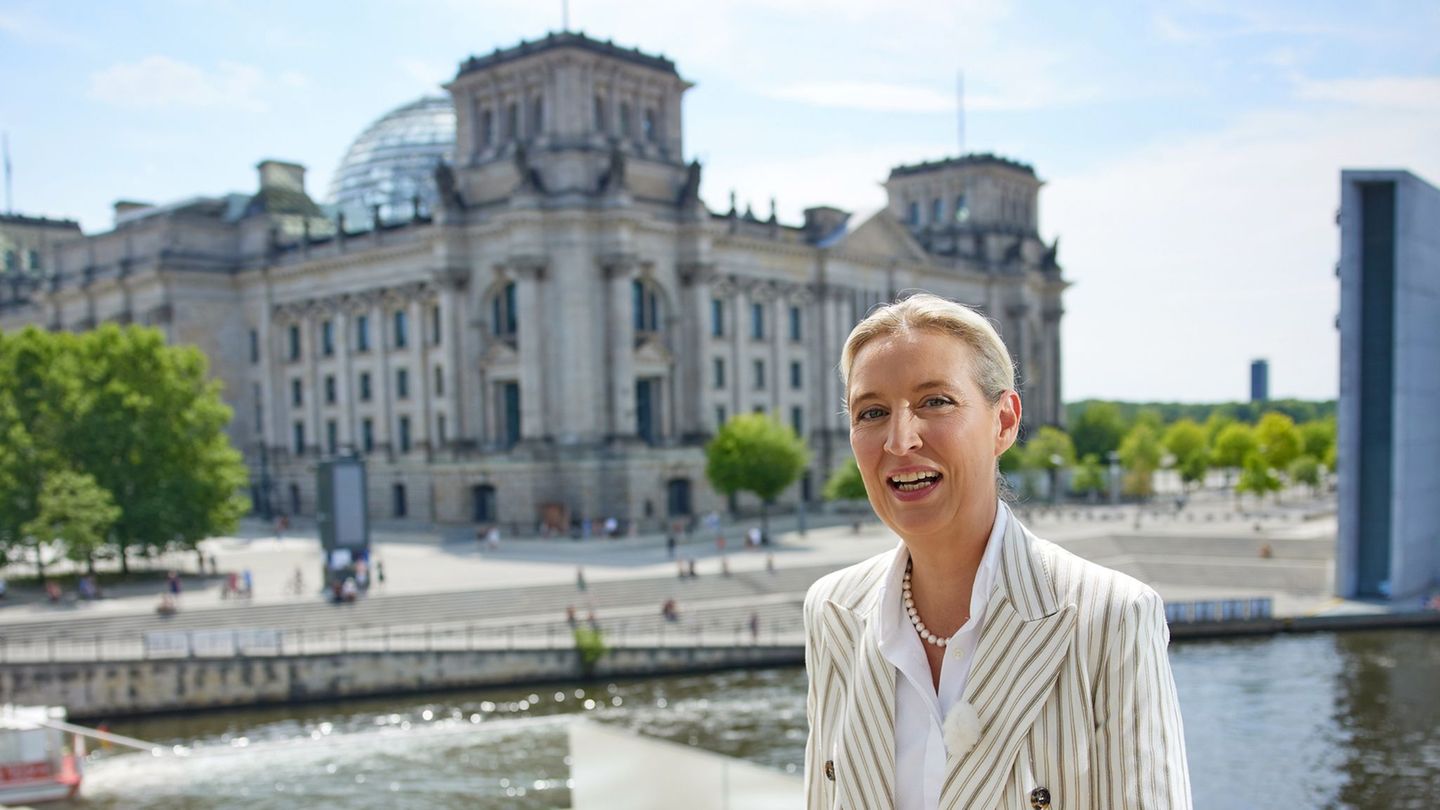 Sommerinterview: Weidel-Interview geht in Demo-Lärm fast unter