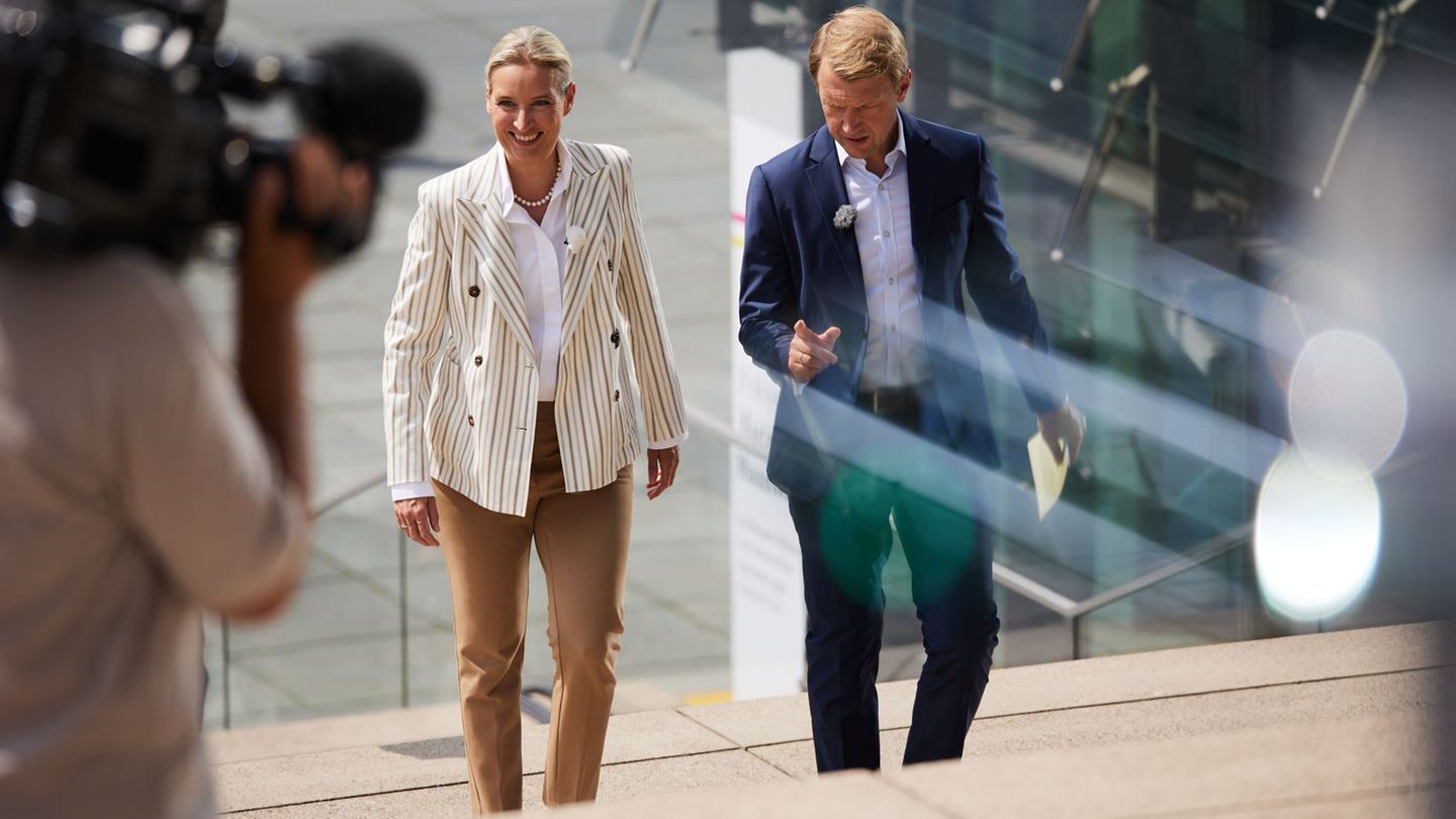 Parteien: Scharfe Kritik an Störung von Weidel-Interview