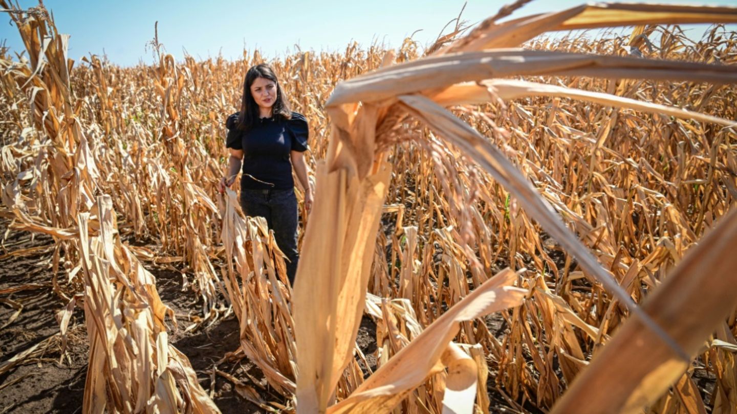 EU-Landwirtschaftskommissar: Kein Abbau von Umweltschutz durch Reformpläne