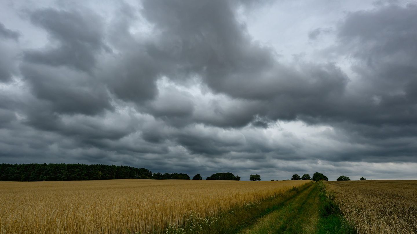 Wettervorhersage: Weitere Gewitter in Berlin und Brandenburg erwartet