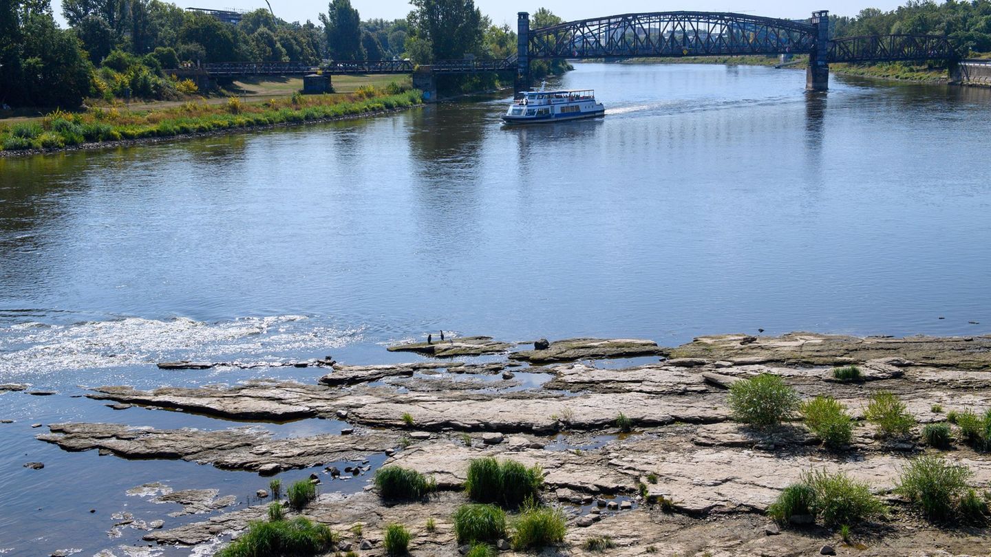 Tourismus auf der Elbe: Nach Niedrigwasser: Weiße Flotte fährt wieder ab Magdeburg