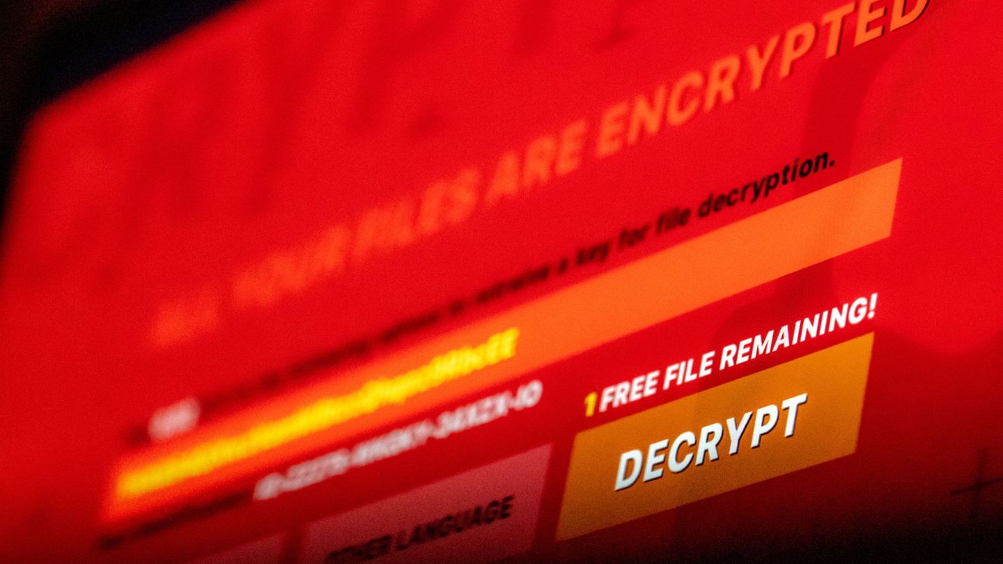Kriminalität im Netz: Ermittler stoppen Erpresser-Software – fast 200 Opfer