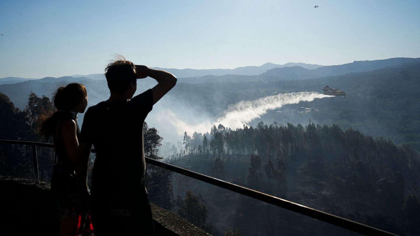 Provinz Ávila: Großeinsatz gegen Waldbrand westlich von Madrid