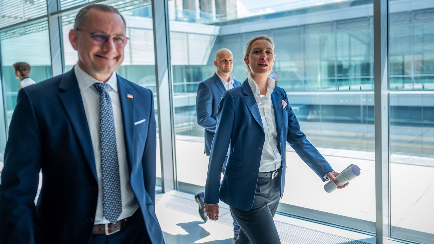 Bundestag: AfD-Chefs Alice Weidel und Tino Chrupalla bekommen deutlich mehr Geld