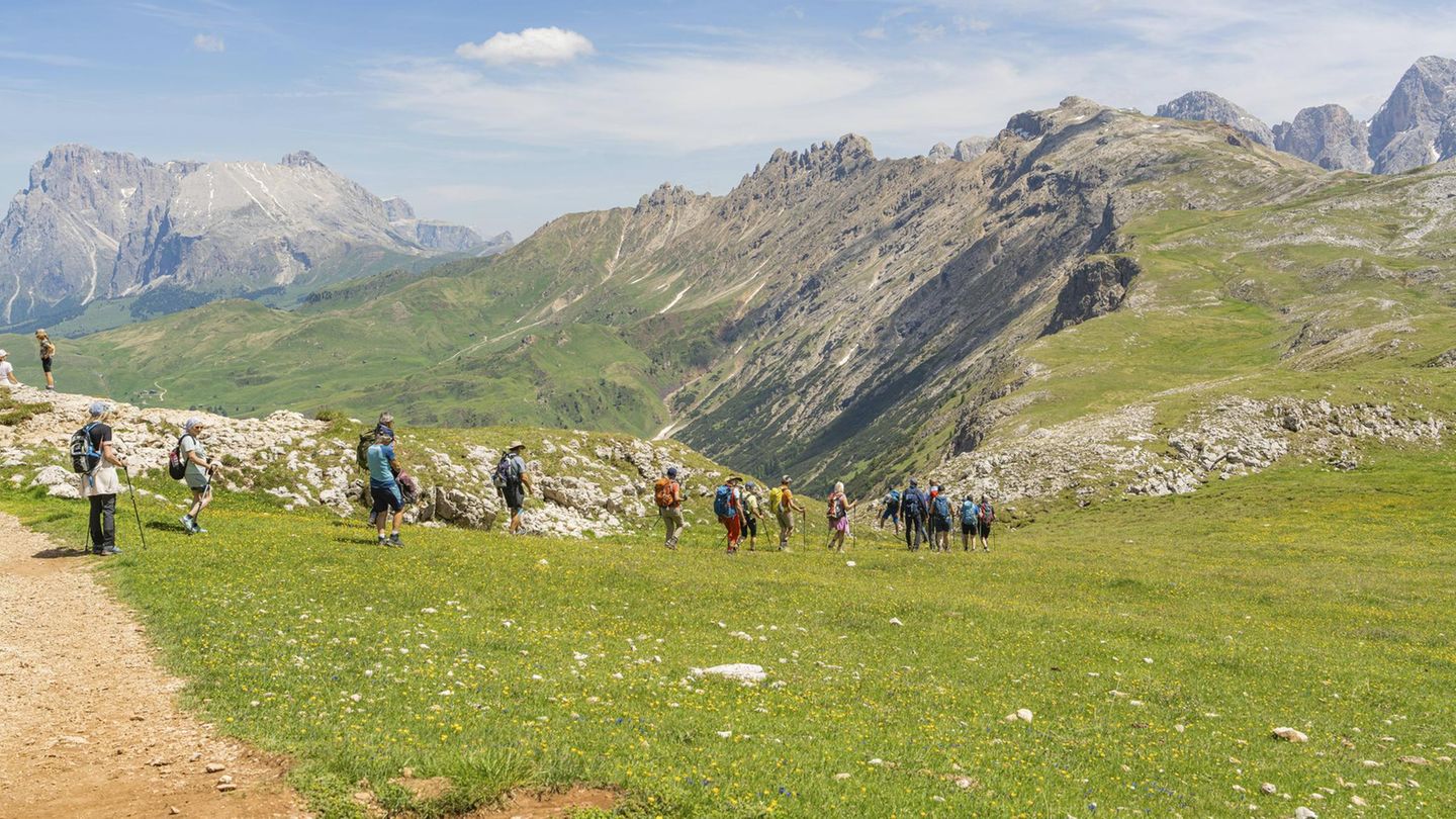 Südtirol: Genervte Bauern in den Dolomiten wollen „Wege-Maut“ von Influencern