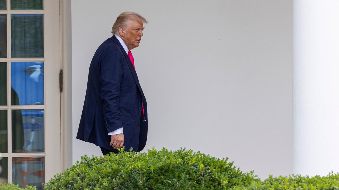 Medienbericht: Donald Trump könnte Albert Einstein in „Heldengarten“ verewigen