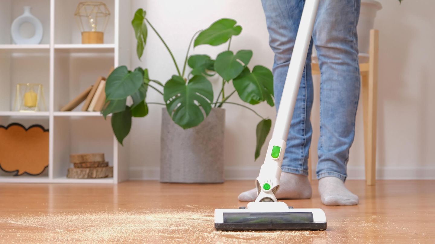 Staubsauger: Ähnlich gut, aber günstiger: Welche Alternative zum Dyson sich lohnt