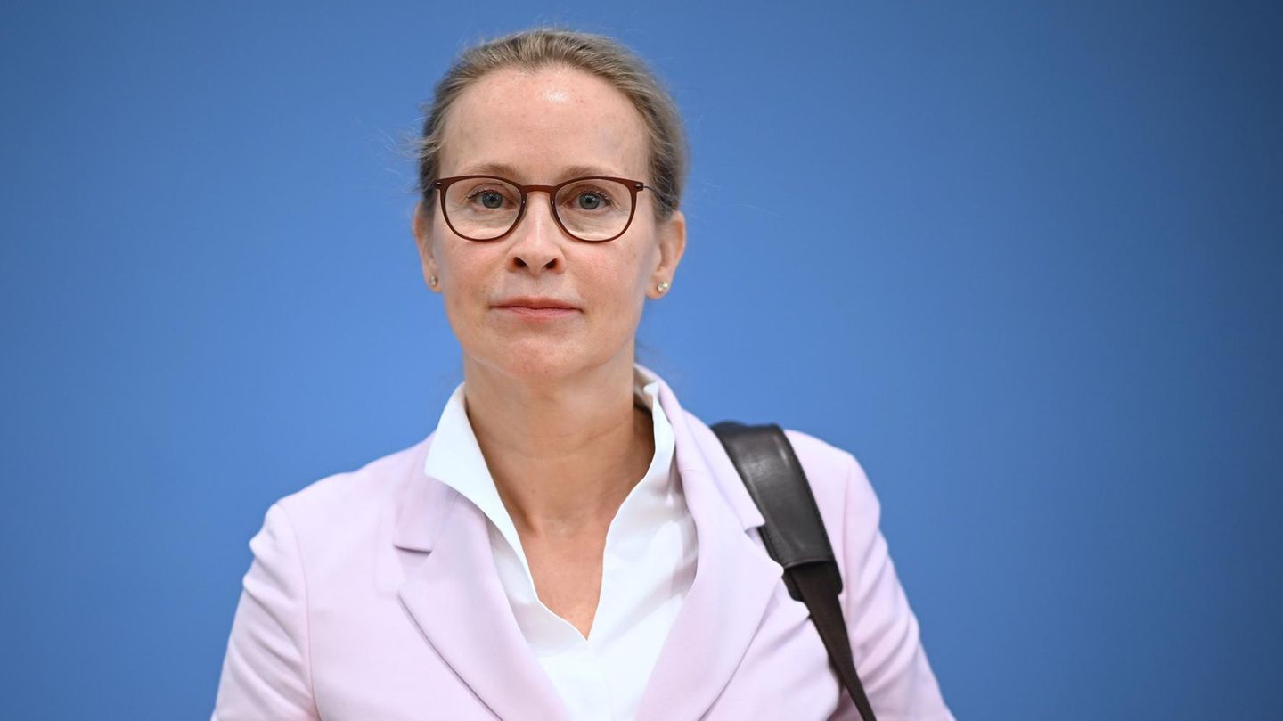 Frauke Brosius-Gersdorf: Umstrittene Richter-Kandidatin rechnet mit Kritikern ab