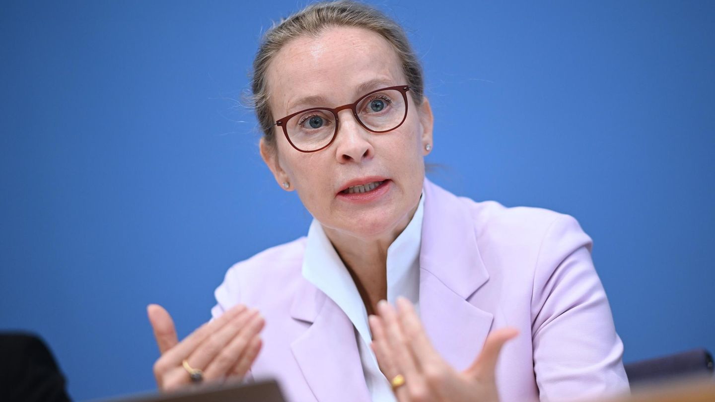 Richterwahl: Gutachter sehen kein Plagiat in Doktorarbeit von Brosius-Gersdorf