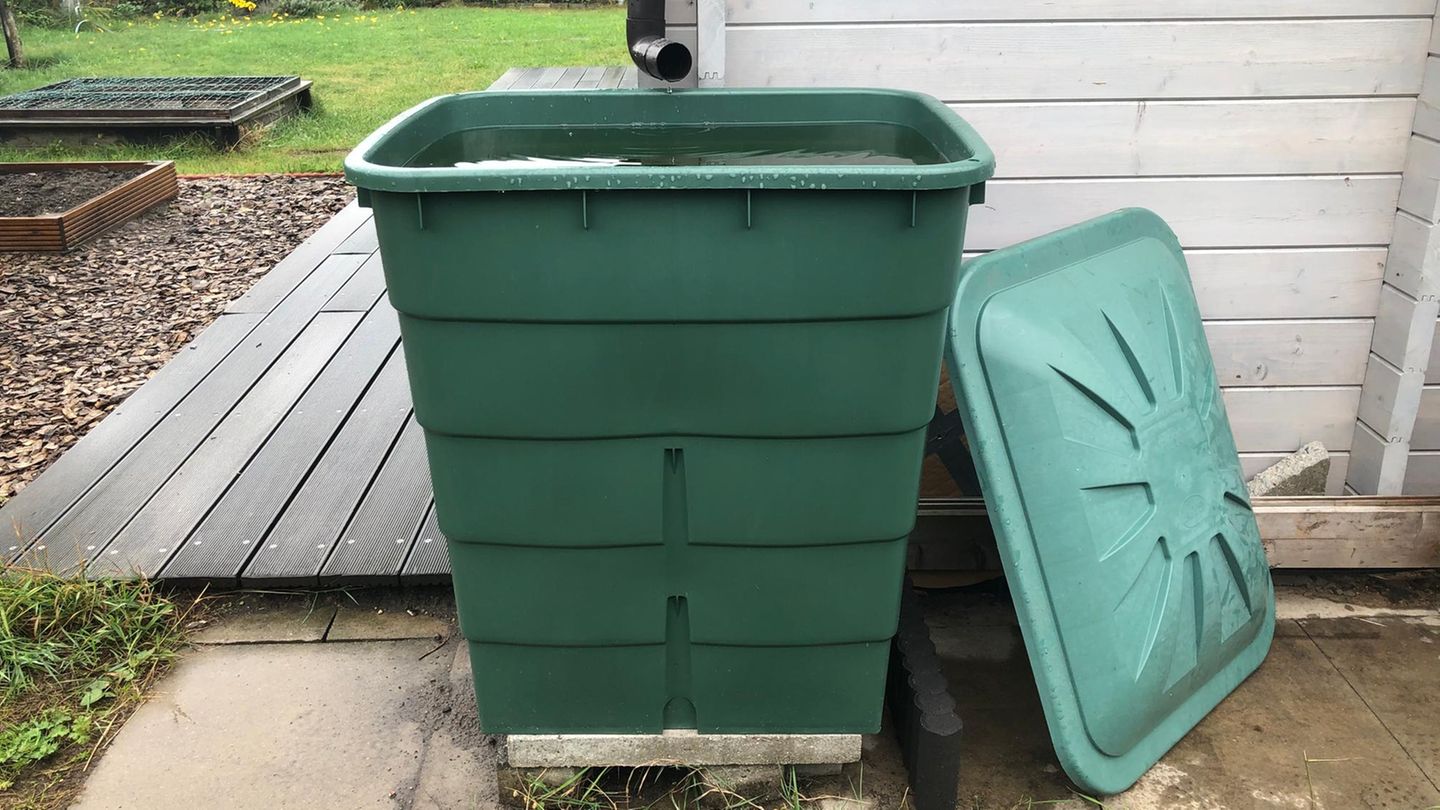 Tonne, Tank, Zisterne : Regenwasser sammeln: So fängt man die kostbaren Tropfen clever auf
