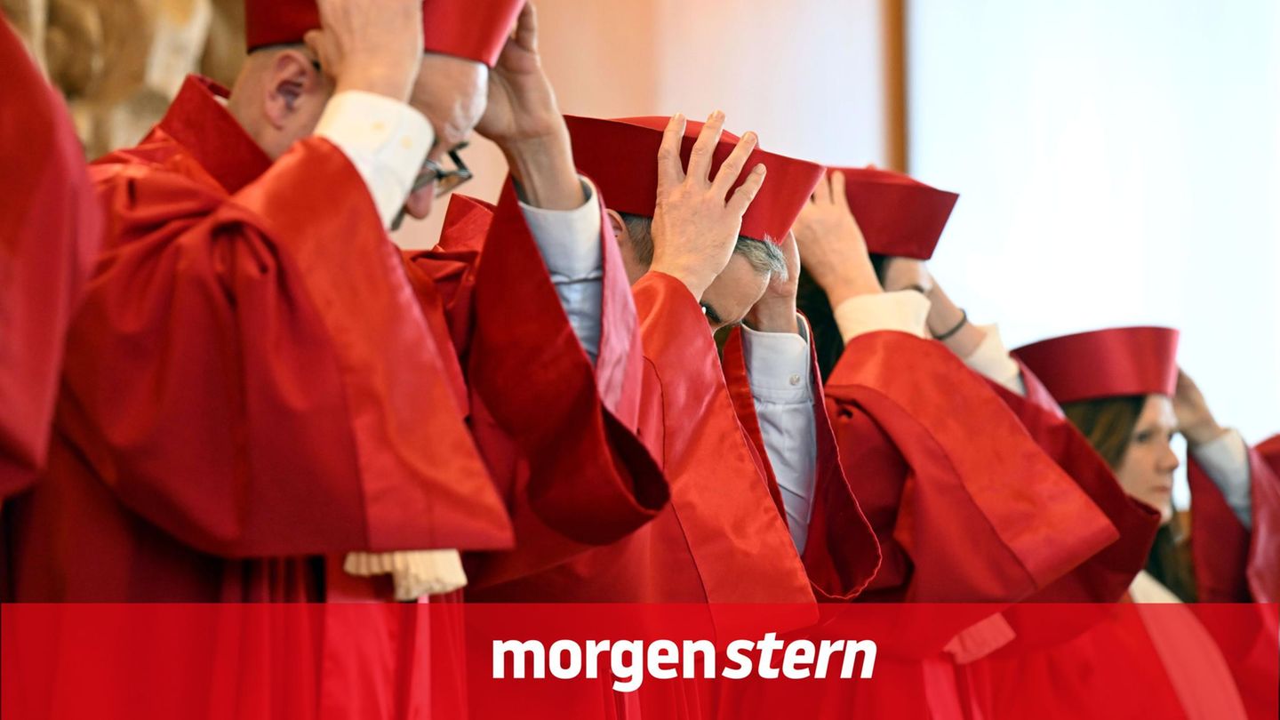 morgen|stern: Germany’s Next Verfassungsrichterin – dank AfD und Linke? Die Lage am Morgen